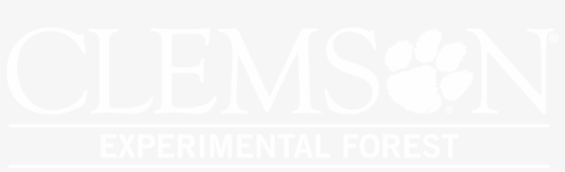 Cef Paw Cmyk White - Calligraphy, transparent png download