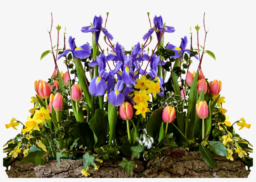 Png Transparent Spring Flowers, transparent png download