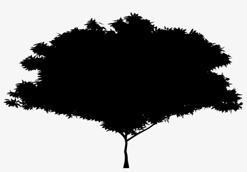Download Png - Arbusto Png, transparent png download
