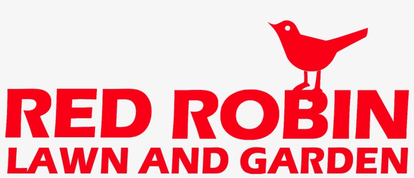 Birds Clipart Red Robin, transparent png download
