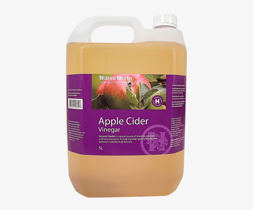 Description - Horse Grooming, transparent png download