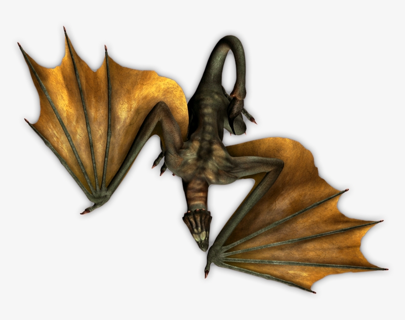 24 Mar 2009 - Dragon, transparent png download