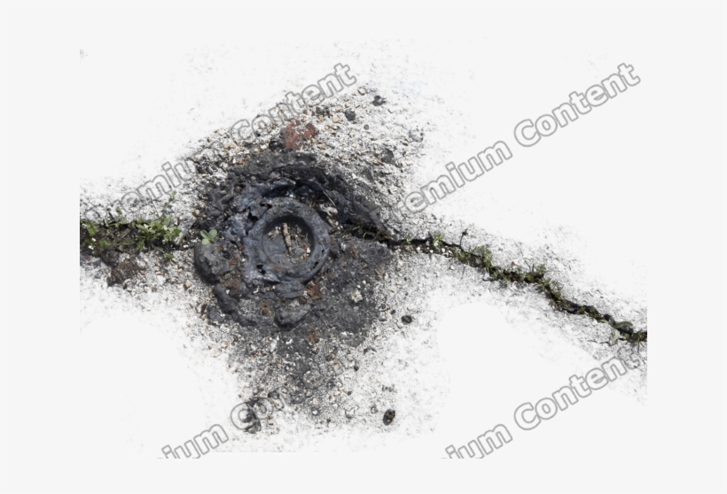 Damage Decals - Garden Roses, transparent png download