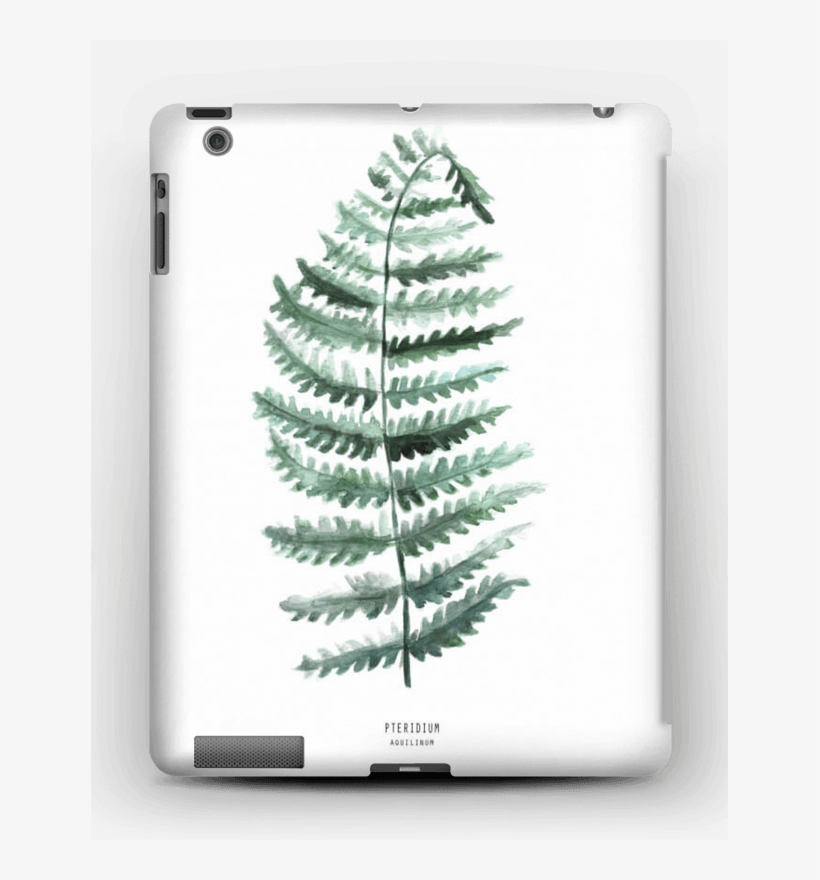 Pteridium Aquilinum Case Ipad 4/3/2 - Ipad 4, transparent png download