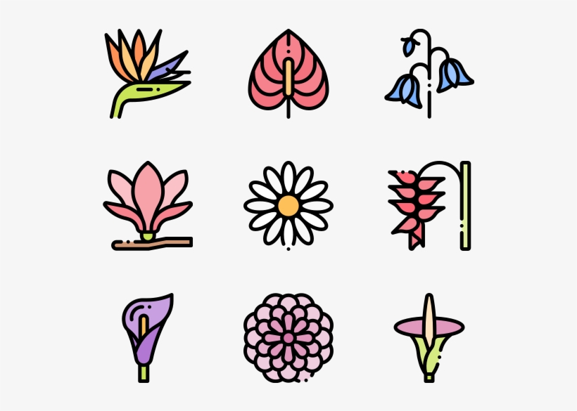 Flowers, transparent png download