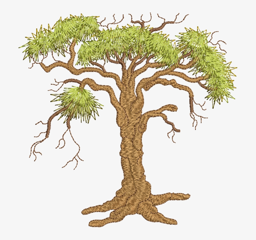 04 - Oak Tree, transparent png download