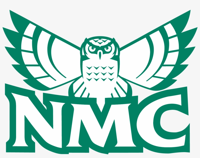 Nmc Hawk Owl - Nmc Hawk Owl Png, transparent png download