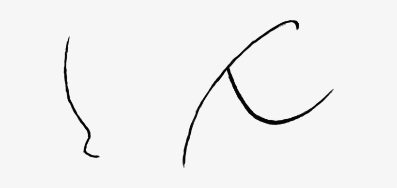 I Mean What Are We Supposed To Do With That At First - Line Art, transparent png download