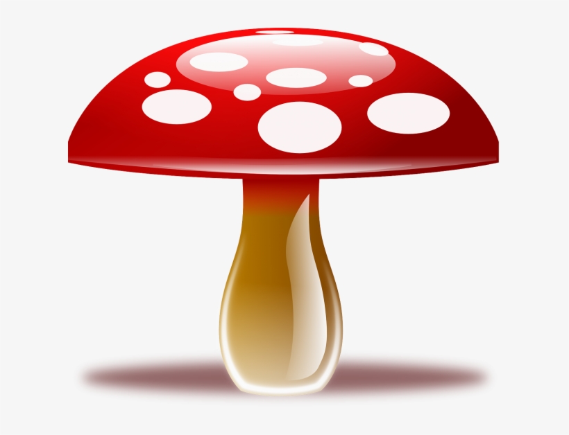 Libros De Setas Para Niños - Mushroom Clipart Png, transparent png download