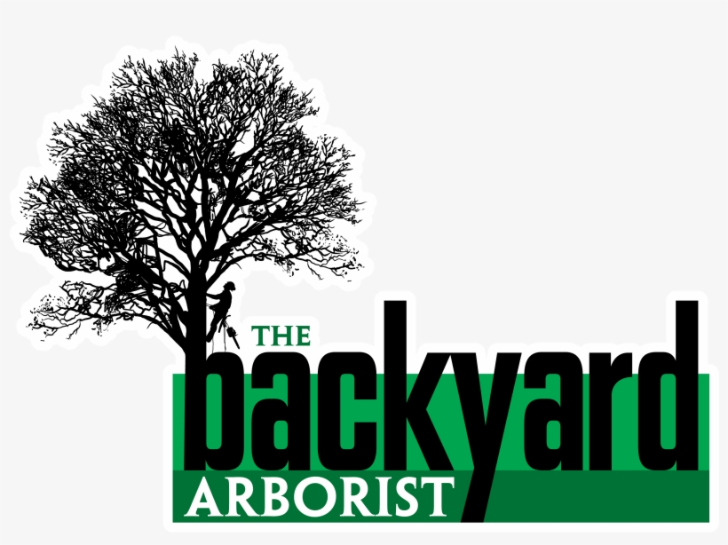 The Backyard Thebackyardarboristweb Your Full Service - Arborist Logos, transparent png download