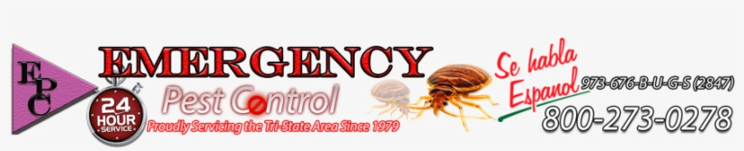 Beige, transparent png download