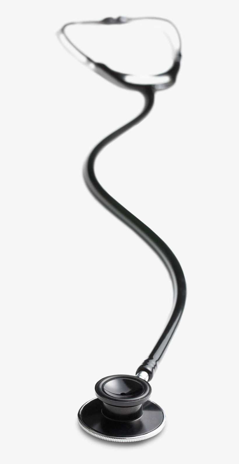 According To The Consensus Model, “all Arnp's Are Educationally - Cable, transparent png download