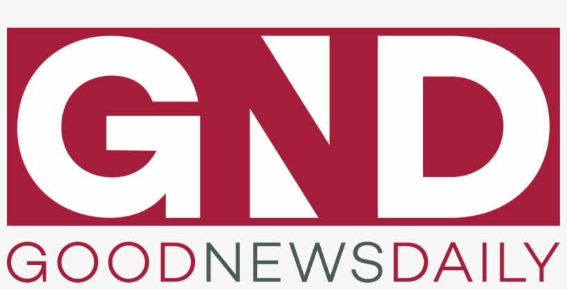 Shoprite Group On Twitter - Graphic Design, transparent png download