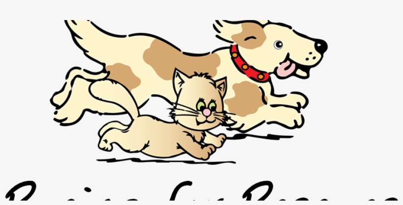 “racing For Rescues” Registration Is Now Open - Second Chance Pet Adoptions, transparent png download