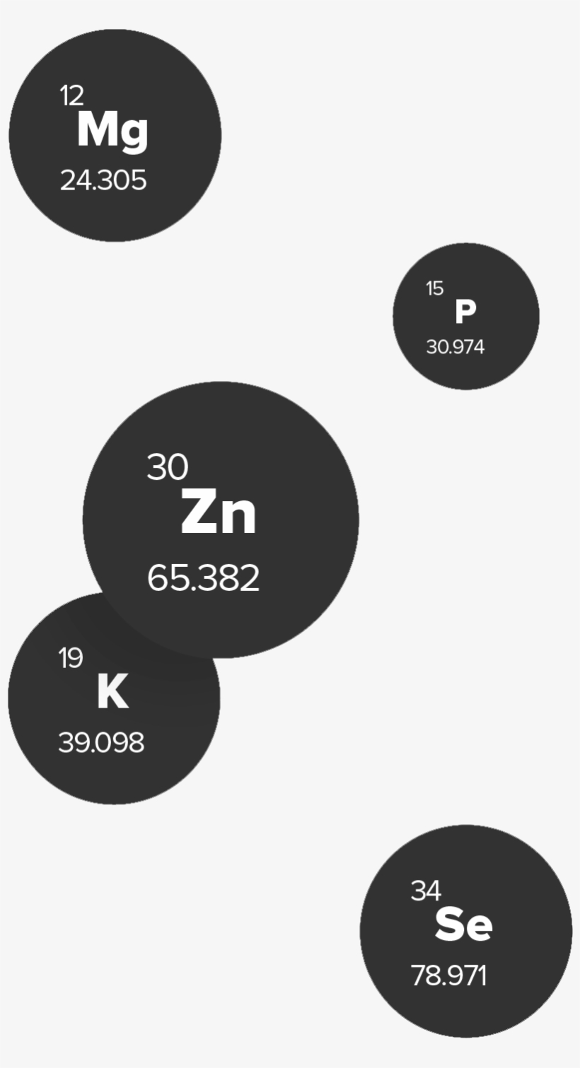 Balance Image - Circle, transparent png download