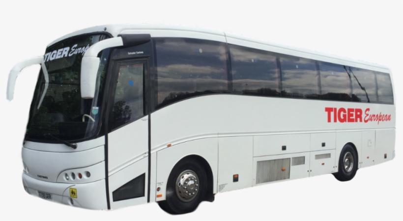 Tiger European Is A Minibus, Coach, Van And Wedding - Tour Bus Service, transparent png download