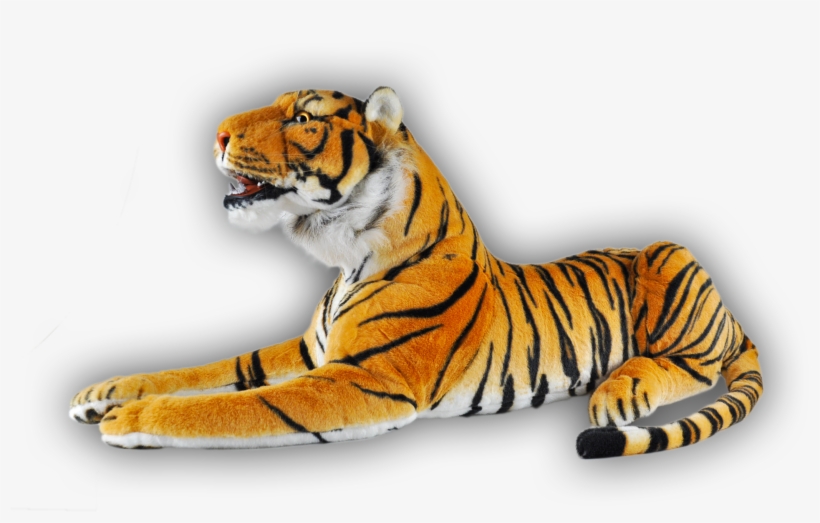 Animal Pel Cia Selvagem Fafa Importadora Descrio - Siberian Tiger, transparent png download