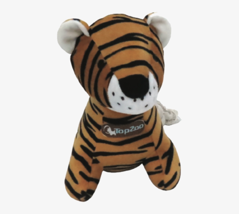 Bengal Tiger, transparent png download