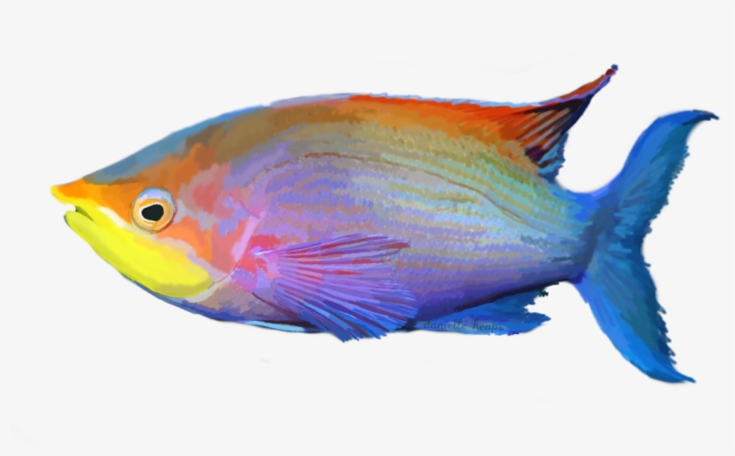 Grafixgirlireland 2 0 Tropical Fish By Grafixgirlireland - Tropical Fish Transparent, transparent png download