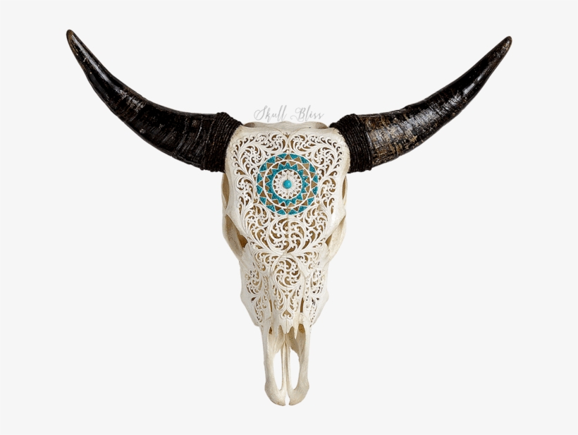 Carved Cow Xl Horns - Cow Skull Transparent, transparent png download