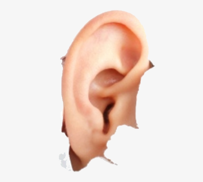Ear Png - Hyperacusis Ear Plugs, transparent png download