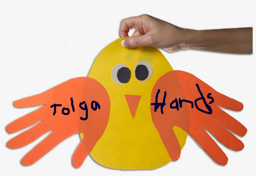 Here's - Bird, transparent png download