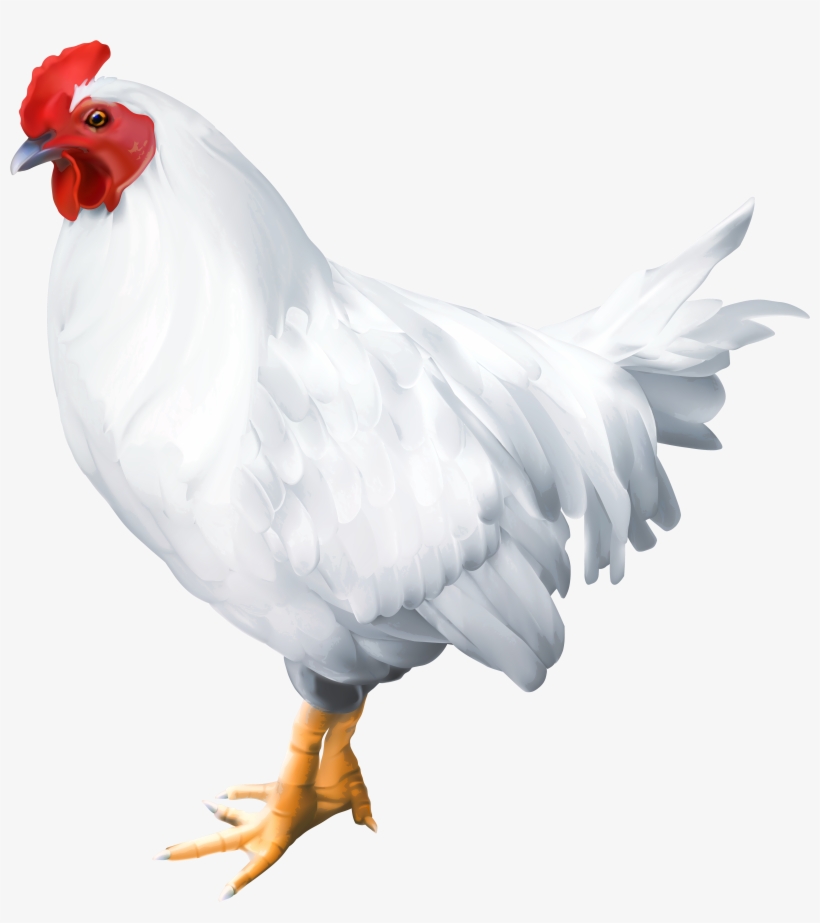 White Birds Png, transparent png download