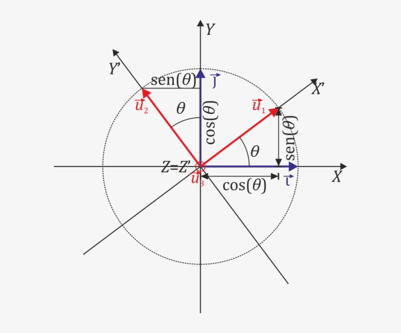 600px Rotacion Base 01 - Diagram, transparent png download