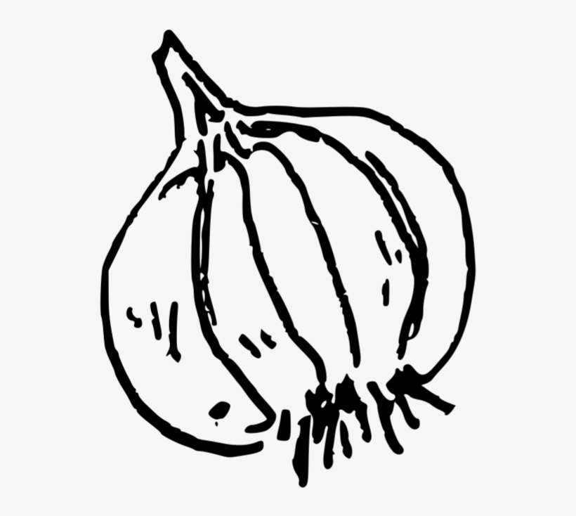 Doodle-garlic - Garlic, transparent png download