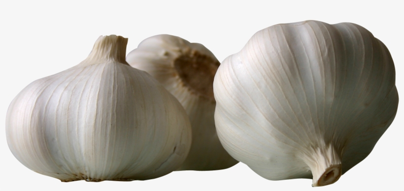 Garlics Png Image - 蒜 Png, transparent png download