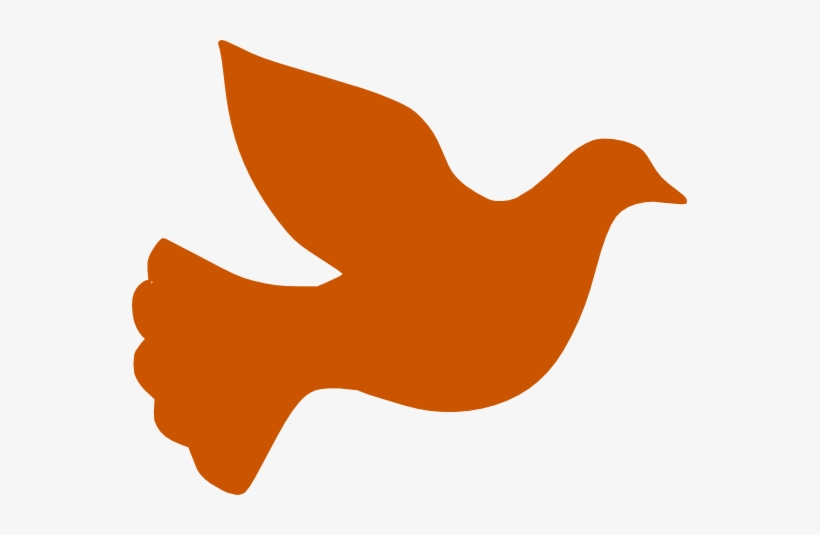 Water Dove Peace Burnt Orange Clipart - Dove Silhouette, transparent png download