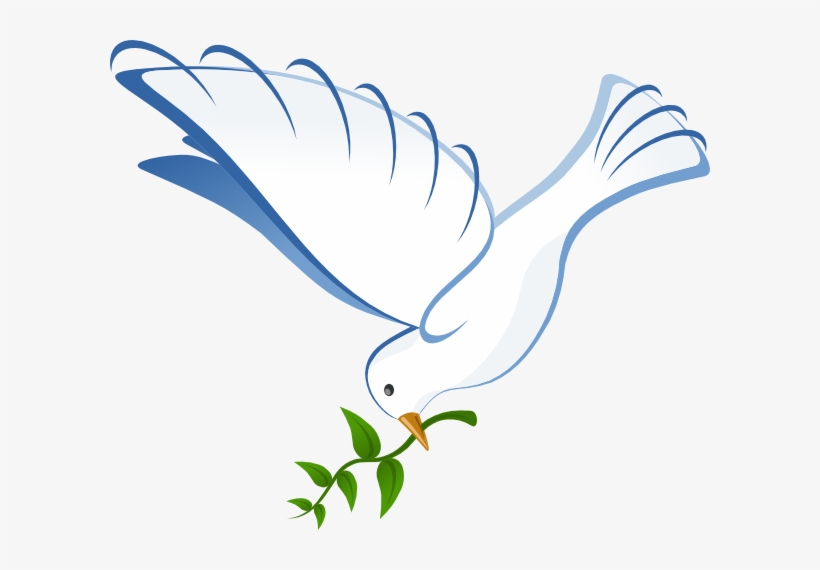Dove Clip Art Png - White Dove, transparent png download