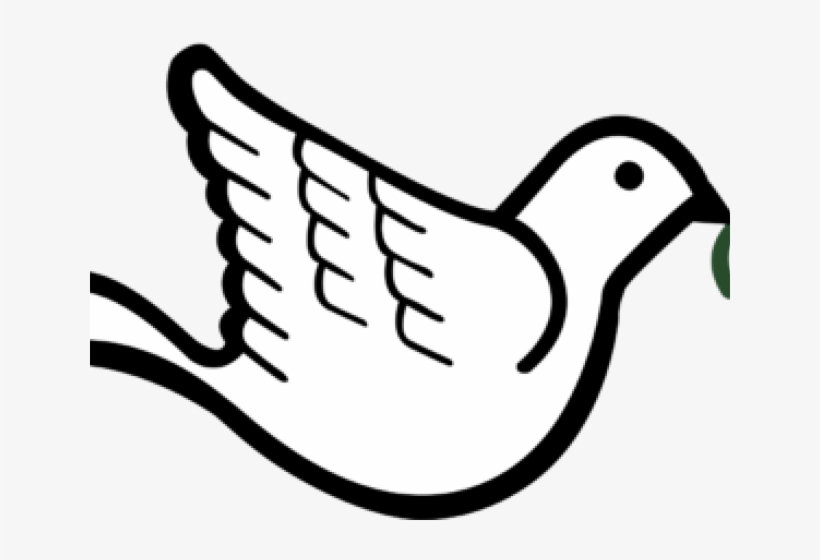 Free Dove Clipart - Dove With Olive Branch, transparent png download