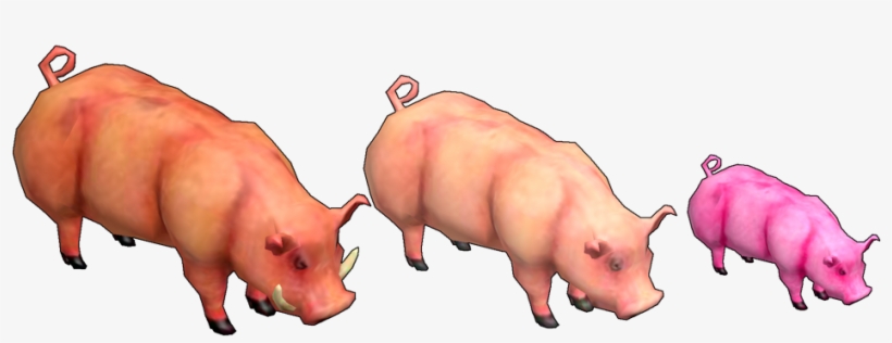 Hafen-pig - Pig, transparent png download