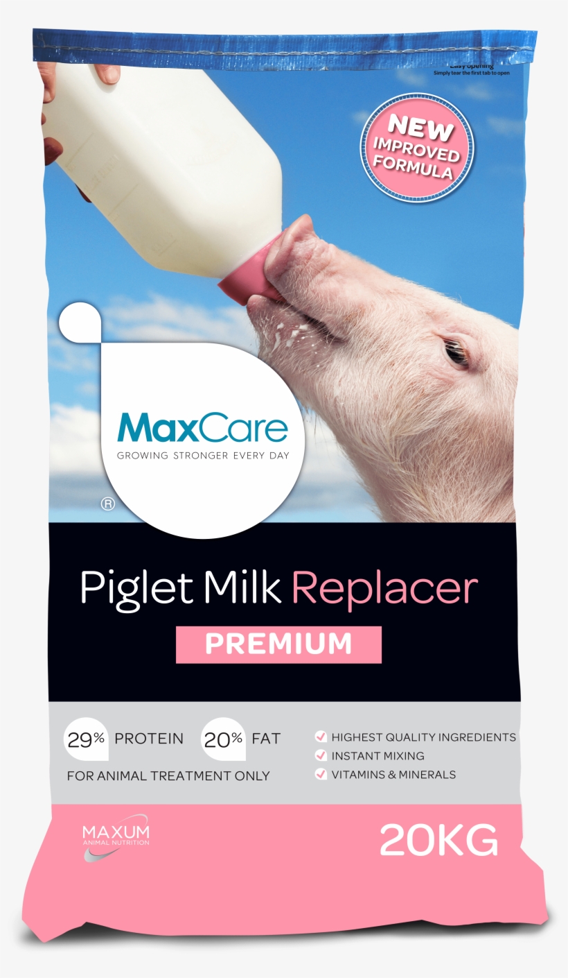 Give Your Piglets The Very Best - Test, transparent png download