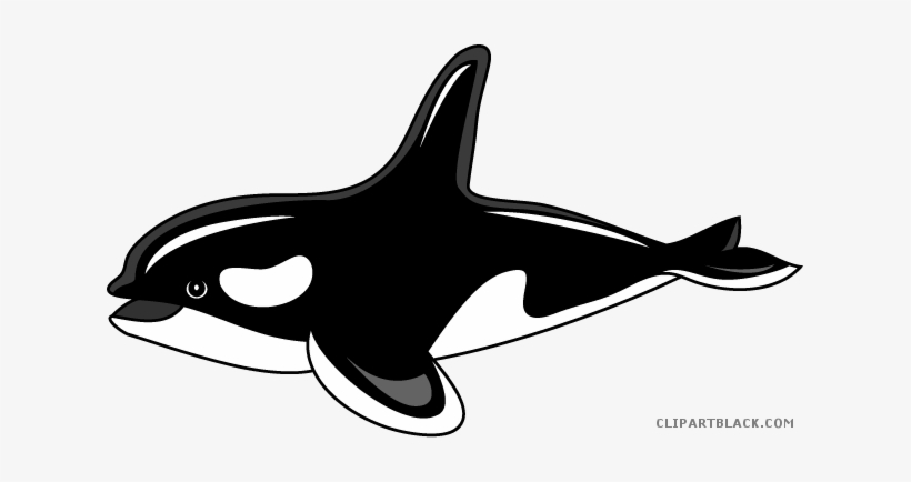 Transparent Library Clipartblack Com Animal Free Black - Killer Whale Clipart Png, transparent png download