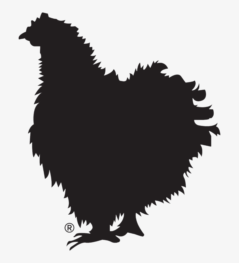 Rachel Plain Png - Team Cc, transparent png download