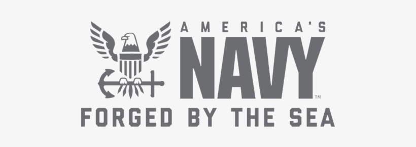 And They Say Some Nice Things About Us - Brigitte Gabriel, transparent png download