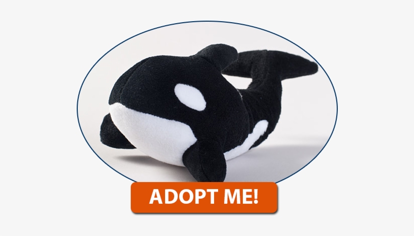 Click Here To Adopt An Orca Today - Marine Conservation, transparent png download