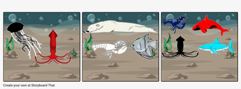 Killer Whale, transparent png download