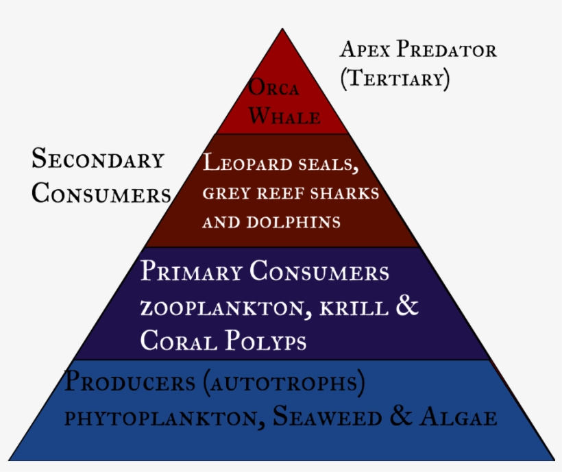 Triangle, transparent png download