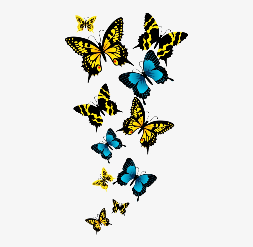 Clipart Resolution 732*812 - Beautiful Butterfly Png File, transparent png download