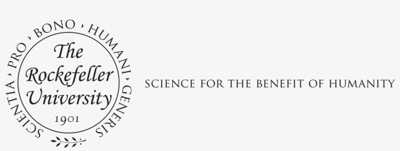 Download Png - Circle, transparent png download