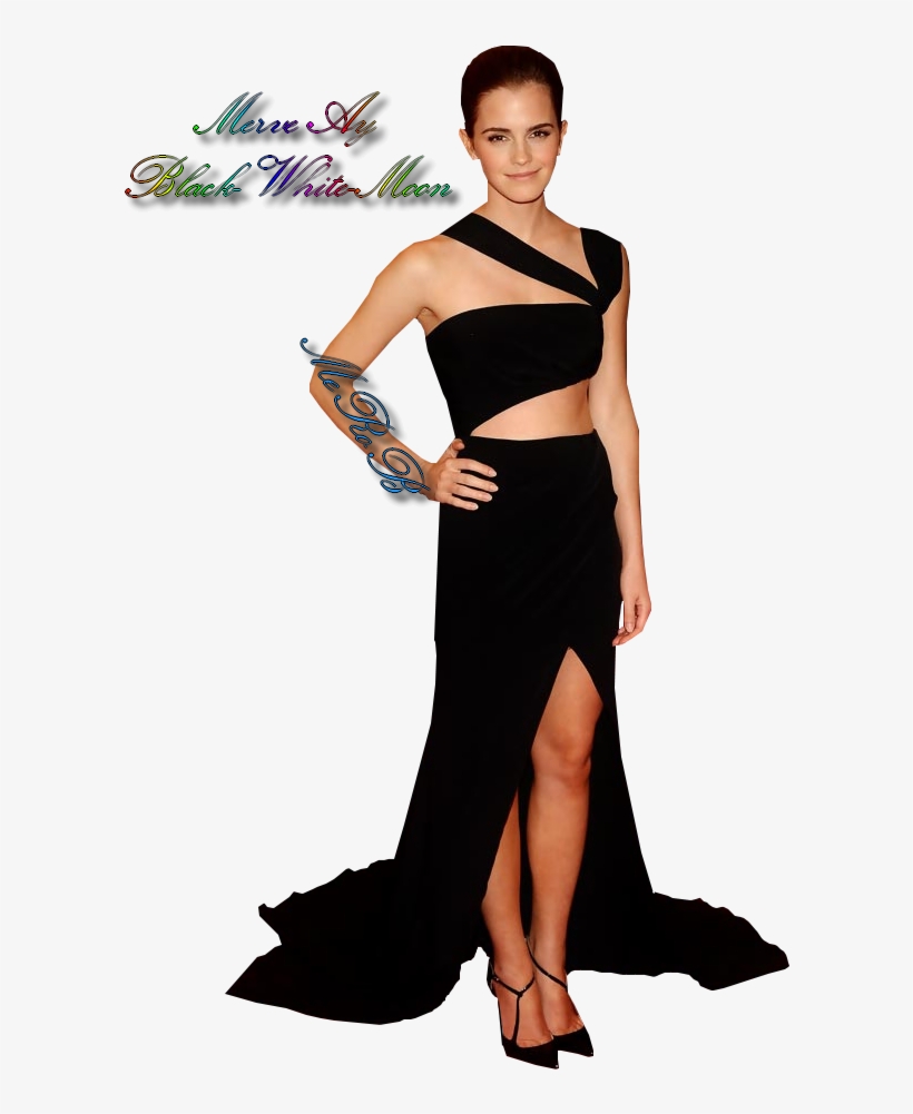Emma Watson Png Hermione Granger 2013 By Merobtr - Hermione Granger 2013, transparent png download