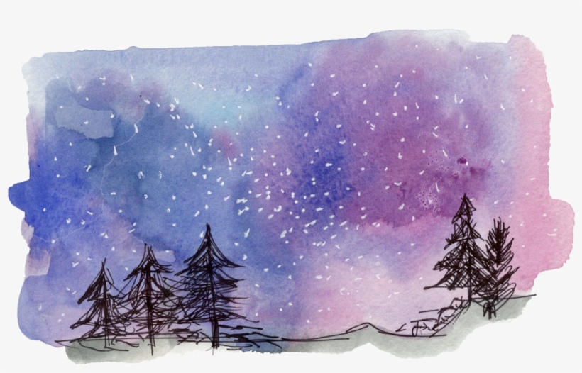 Shortleaf Black Spruce, transparent png download