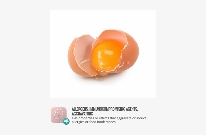 Allergens - Guatemalan Cuisine, transparent png download