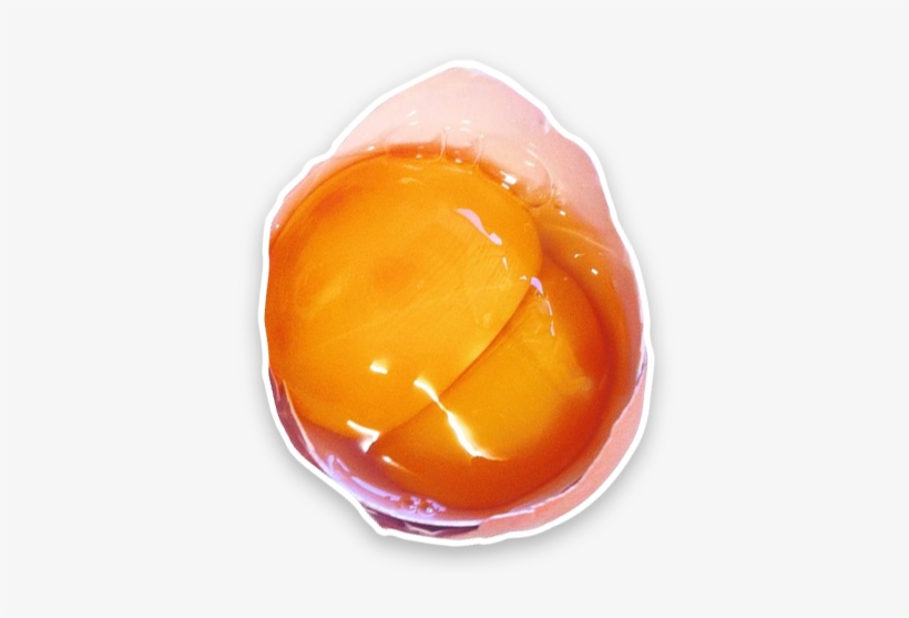 The Shell Forms Around Both Yolks And Results In A - Photograph, transparent png download