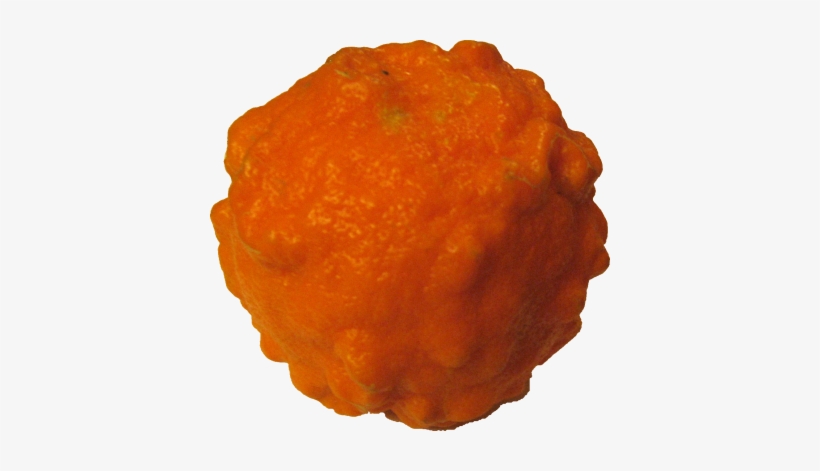 Food/ Fruit/ Orange Seville - Bitter Orange Png, transparent png download
