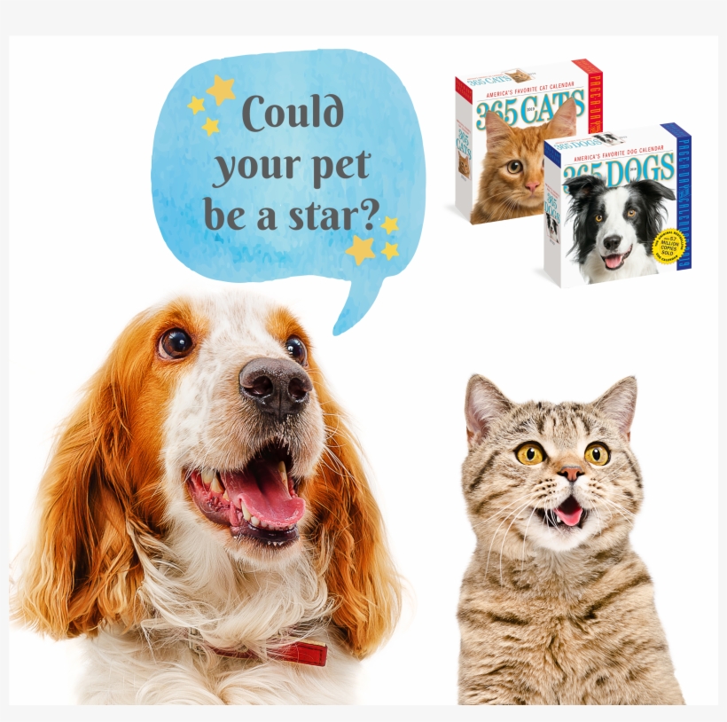 Pet, transparent png download