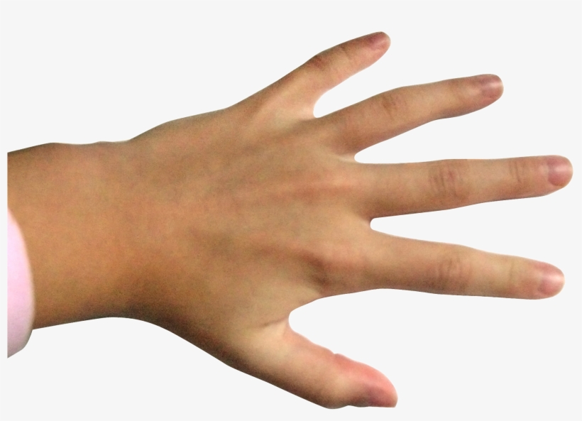 Ring Finger, transparent png download